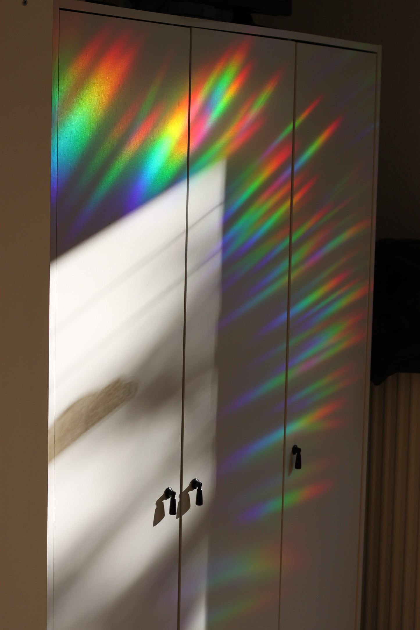 Suncatcher Fenstersticker 2er Set Kolibri