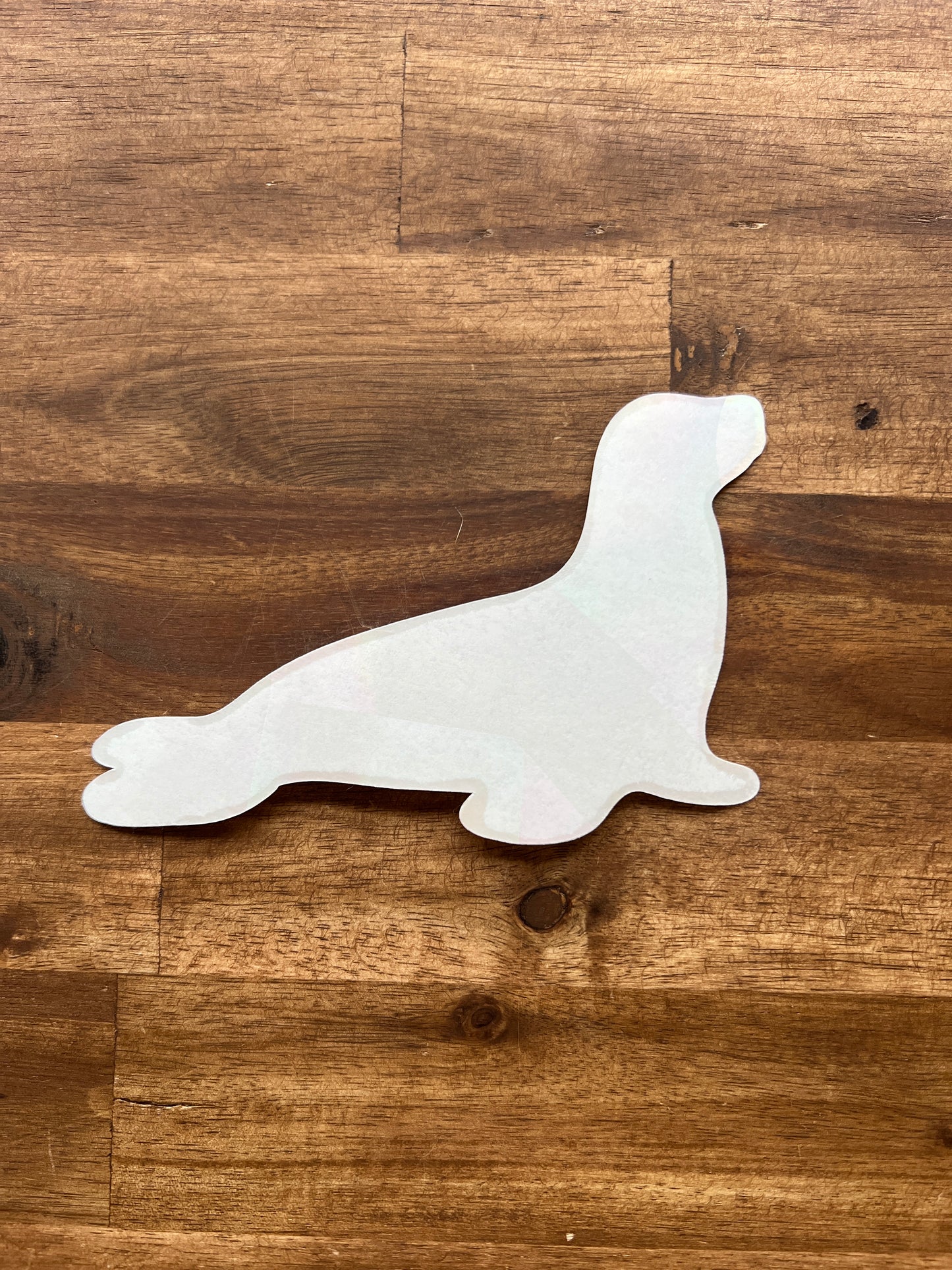 Suncatcher Sticker Robbe