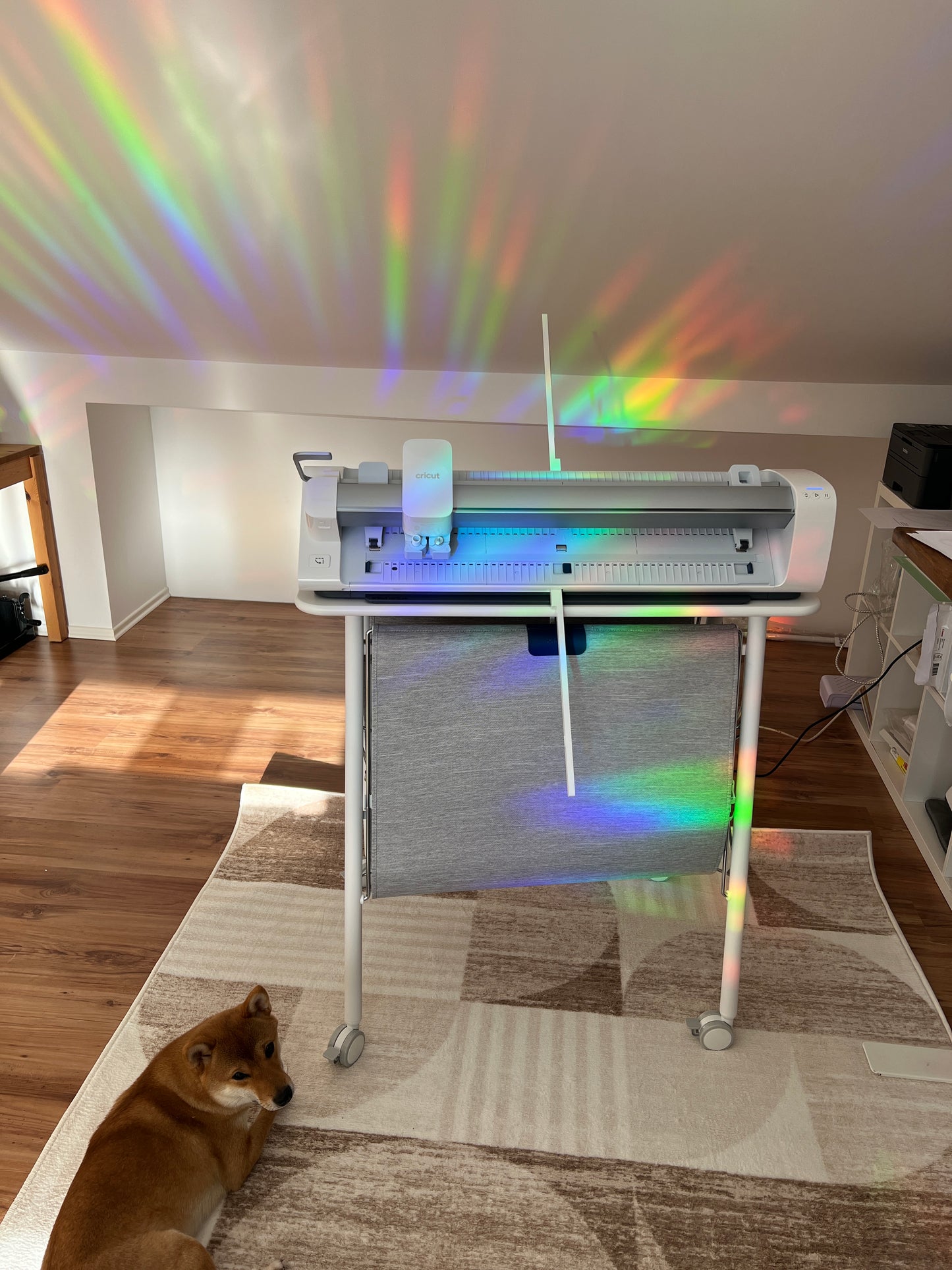 XL Suncatcher Sticker Folie Sonnenmuster