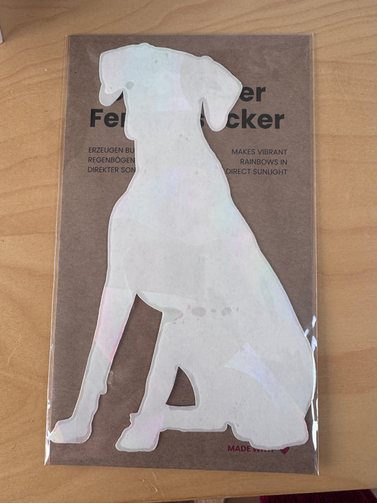 Aari Suncatcher